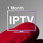 Subscription 1Month (Premium)