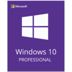 10 Professional (Online)